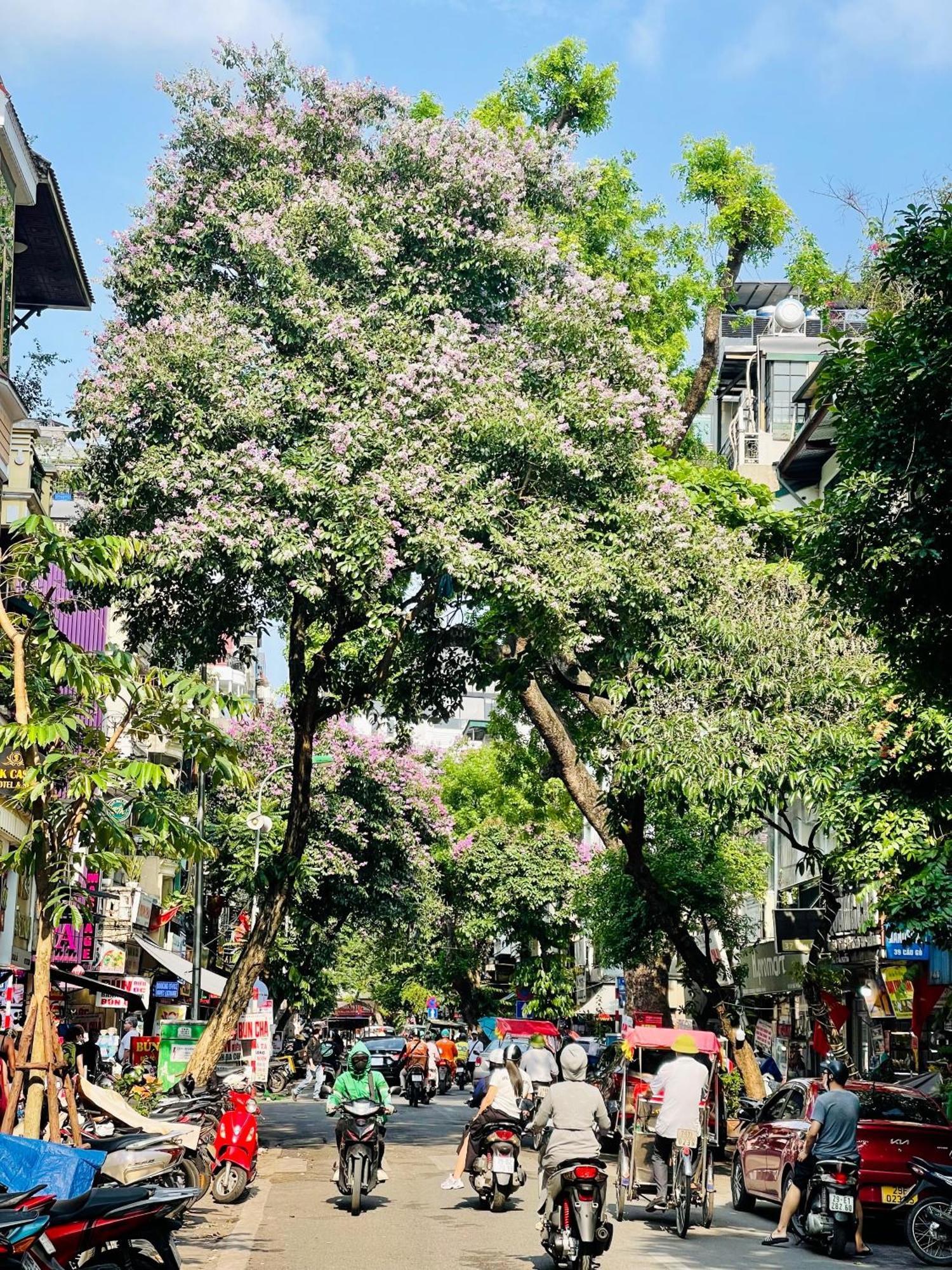 Old House Homestay Hanoi Bagian luar foto